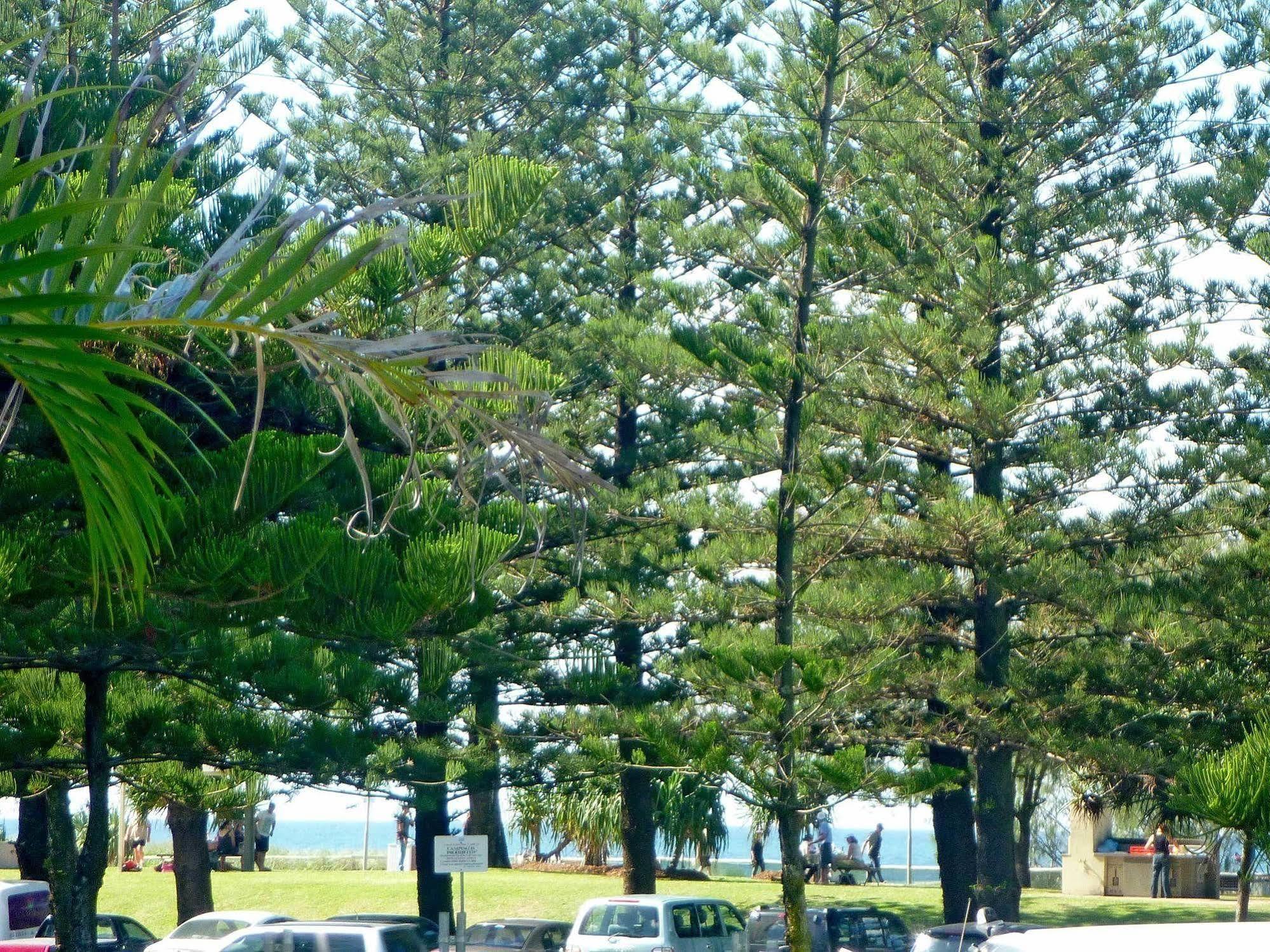 Main Beach Tourist Park Exterior photo